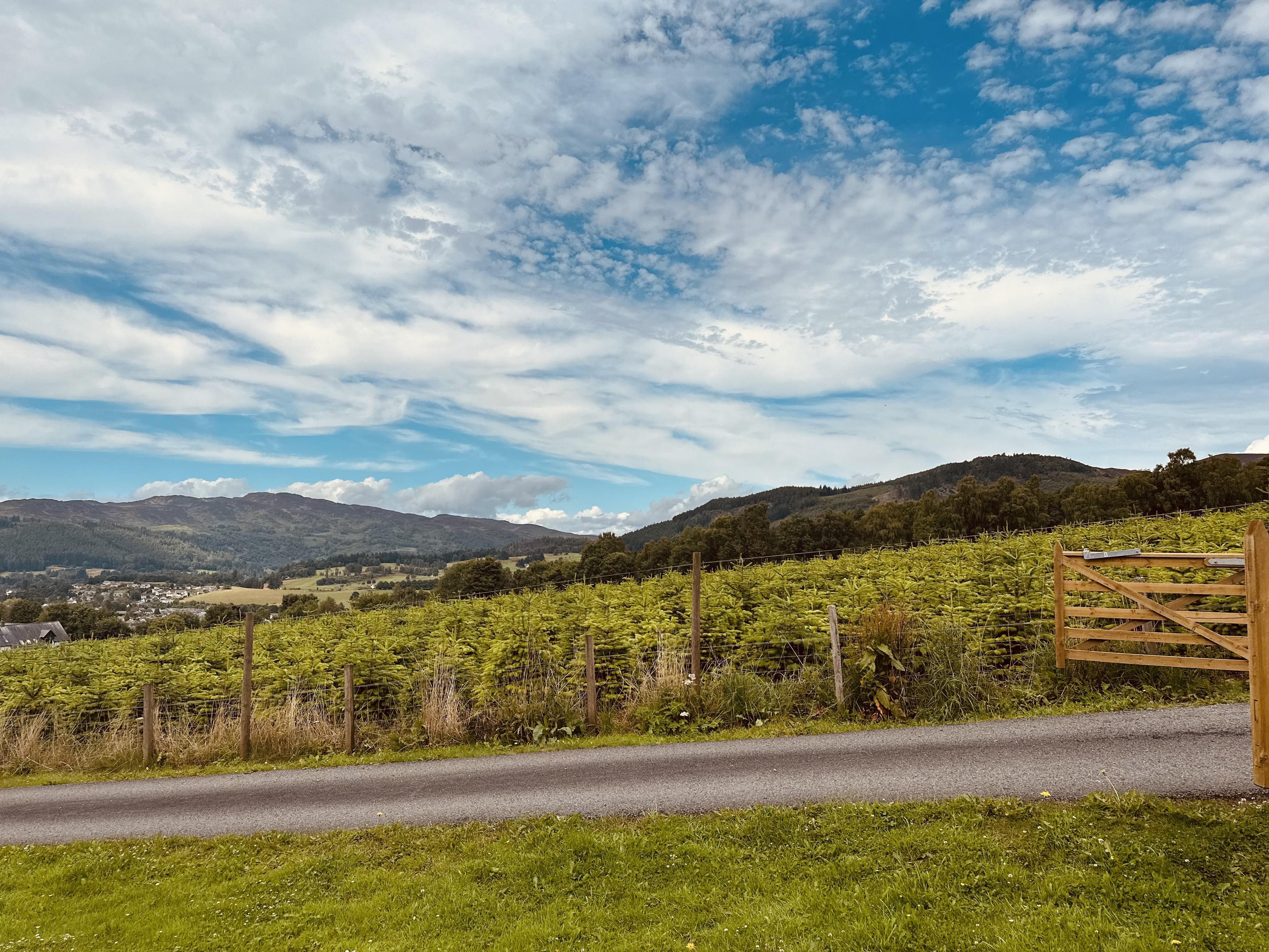 Kinnaird Woodland Lodges Pitlochry Esterno foto
