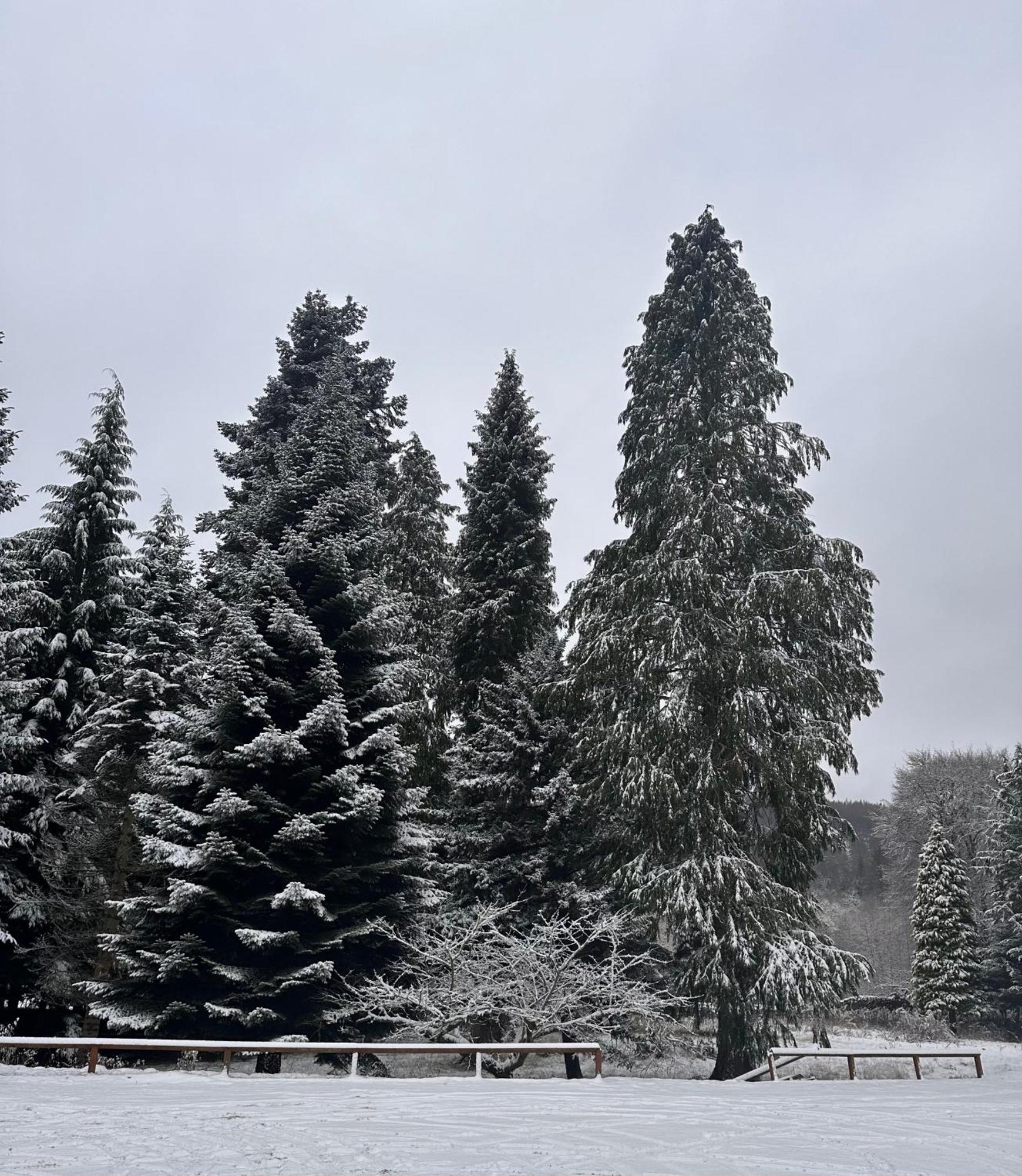Kinnaird Woodland Lodges Pitlochry Esterno foto